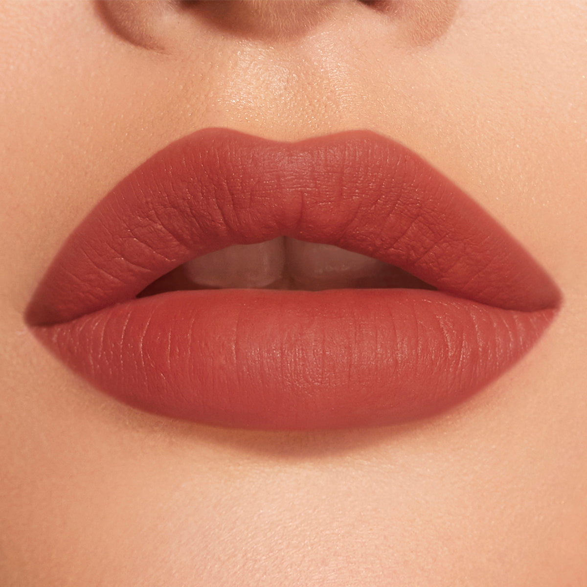 DEAR DAHLIA Sensuous Matte Lip Suit - Confident (Brick Brown Red)