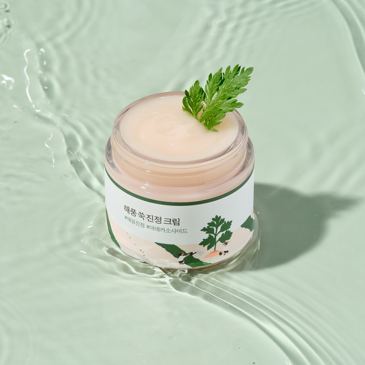 ROUND LAB Mugwort Calming Cream 2.70 oz. l Set of 2